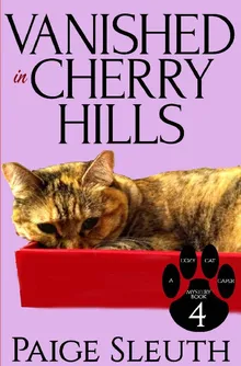 Vanished In Cherry Hills By Sleuth, Paige - Z-library