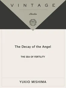 Book cover The Decay of the Angel (Vintage International)